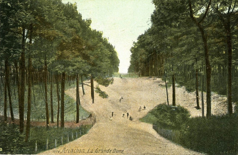 Carte postale ancienne Arcachon - Forêt dunes 5