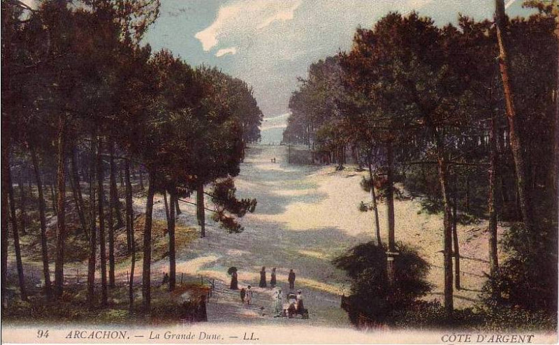 Carte postale ancienne Arcachon - Forêt dunes 6