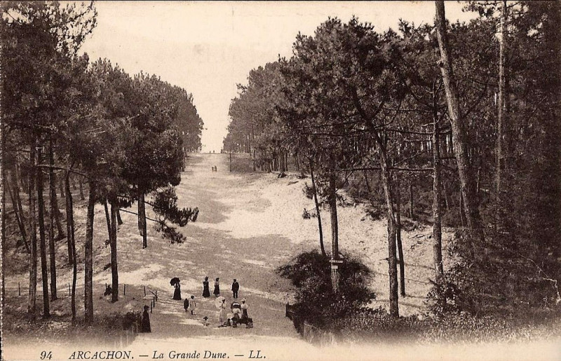 Carte postale ancienne Arcachon - Forêt dunes 6a