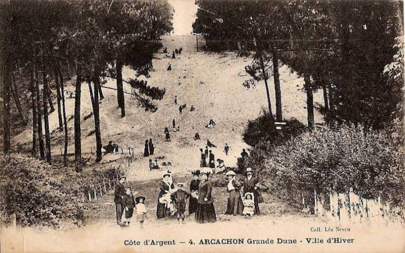 Carte postale ancienne Arcachon - Forêt dunes 7