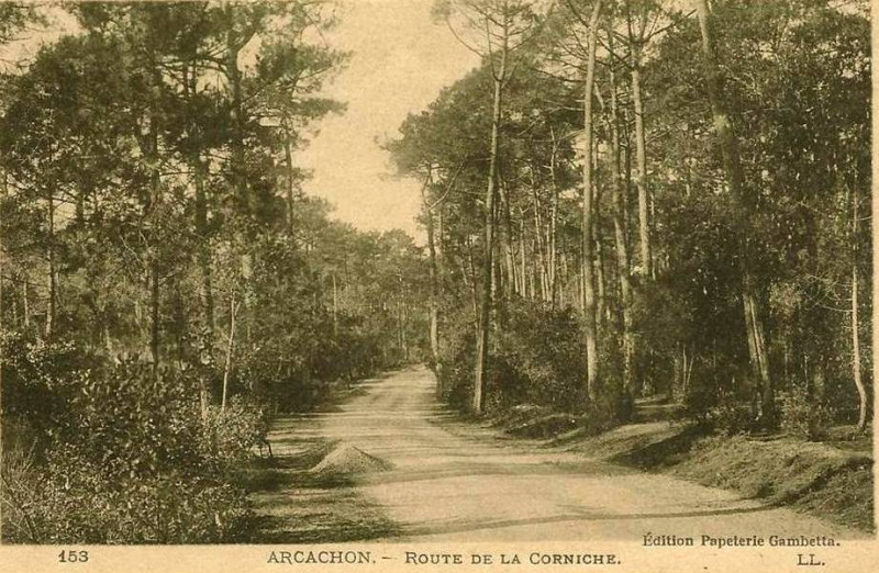 Carte postale ancienne Arcachon - Forêt route de la corniche