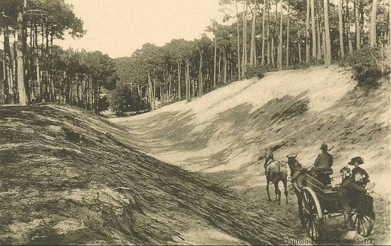 Carte postale ancienne Arcachon - Forêt route de la laiterie