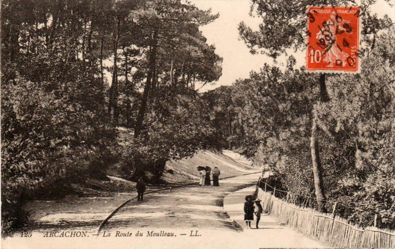 Carte postale ancienne Arcachon - Forêt route de Moulleau 3a