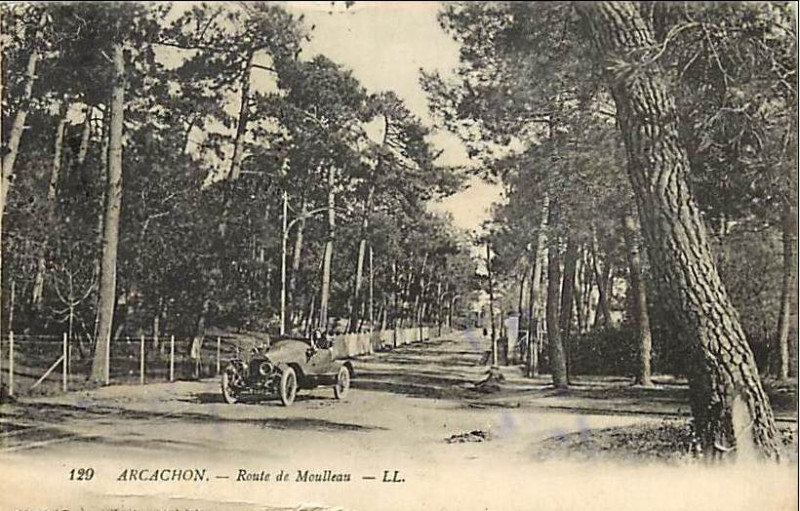 Carte postale ancienne Arcachon - Forêt route de Moulleau 4
