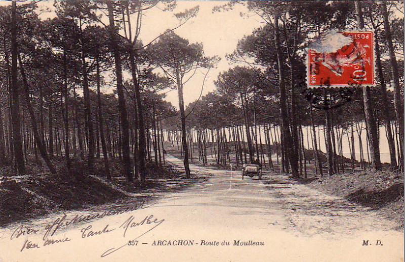 Carte postale ancienne Arcachon - Forêt route de Moulleau 7