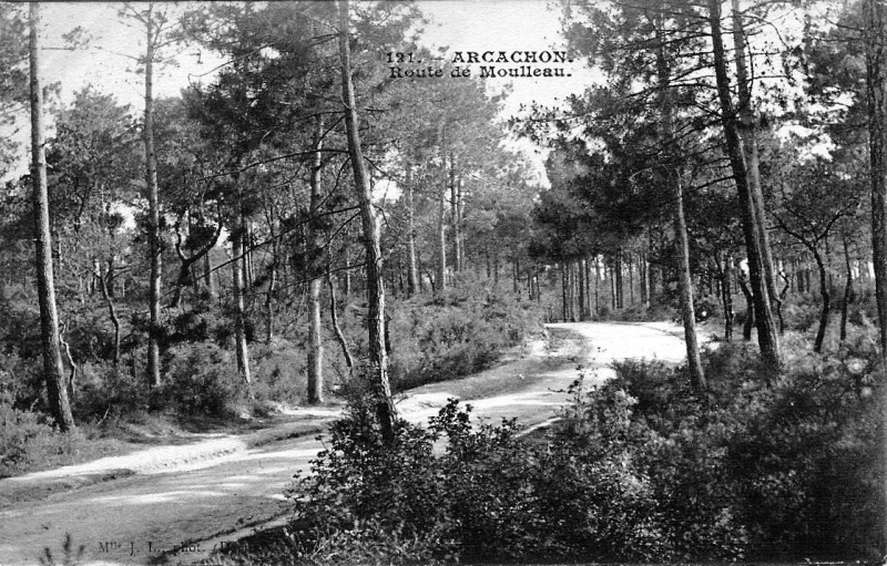 Carte postale ancienne Arcachon - Forêt route de Moulleau 9