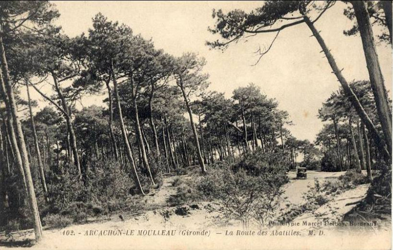 Carte postale ancienne Arcachon - Forêt route des Abatilles 1