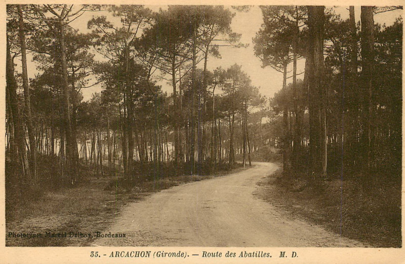 Carte postale ancienne Arcachon - Forêt route des Abatilles 3