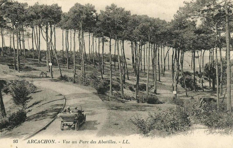 Carte postale ancienne Arcachon - Forêt route des Abatilles 4
