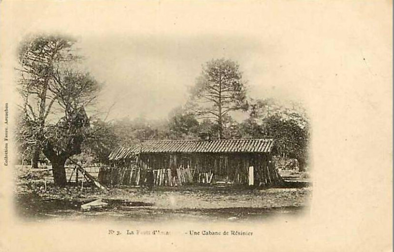 Carte postale ancienne Arcachon - Forêt résinier 5