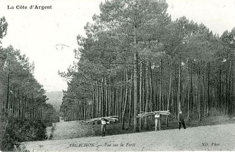 Carte postale ancienne Arcachon - Forêt travail 2