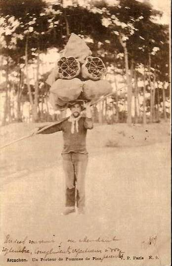 Carte postale ancienne Arcachon - Forêt travail 5