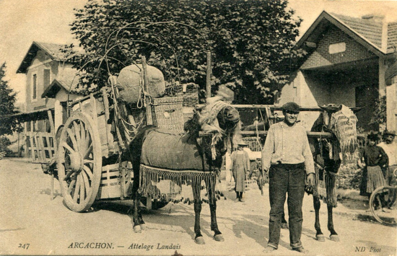 Carte postale ancienne Arcachon - Forêt voiture à sables 2