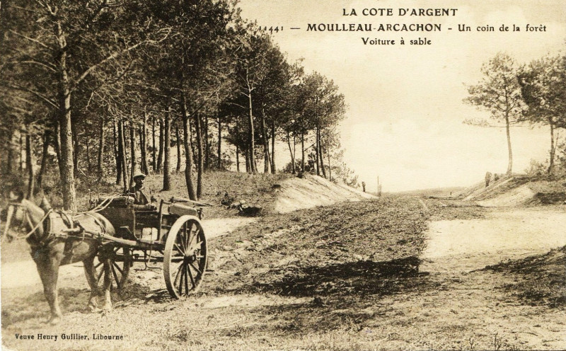 Carte postale ancienne Arcachon - Forêt voiture à sables 4