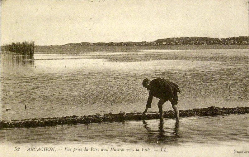 Carte postale ancienne Arcachon - parc aux huitres 1