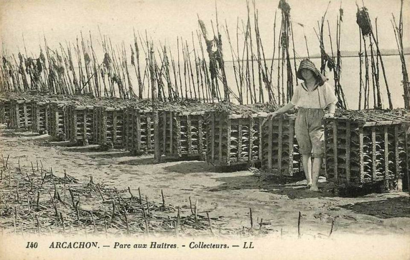 Carte postale ancienne Arcachon - parc aux huitres 13