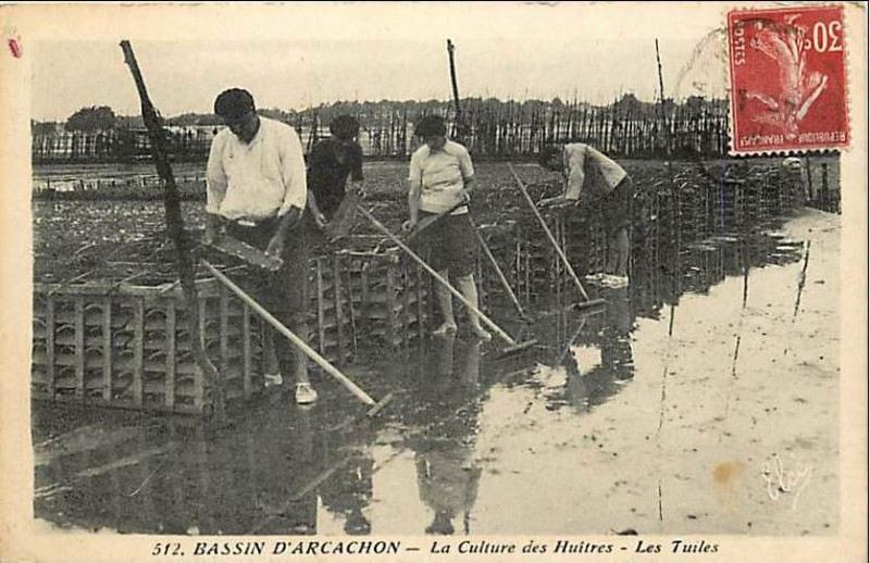 Carte postale ancienne Arcachon - parc aux huitres 14