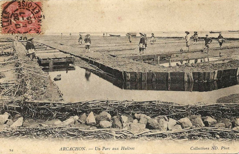 Carte postale ancienne Arcachon - parc aux huitres 2