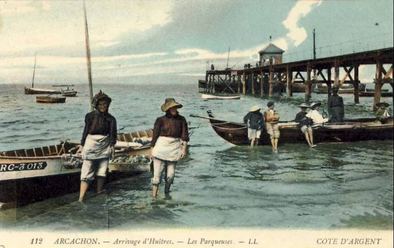 Carte postale ancienne Arcachon - parc aux huitres 22
