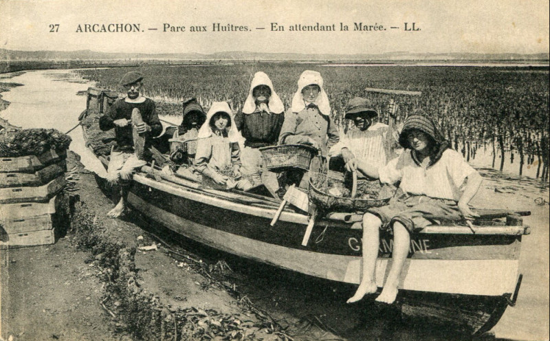 Carte postale ancienne Arcachon - parc aux huitres 23