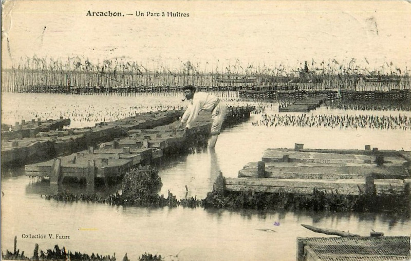 Carte postale ancienne Arcachon - parc aux huitres 3