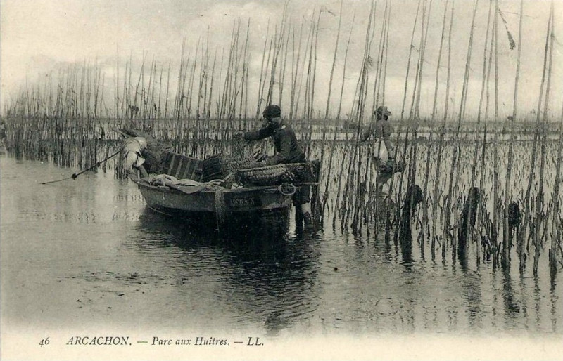 Carte postale ancienne Arcachon - parc aux huitres 6