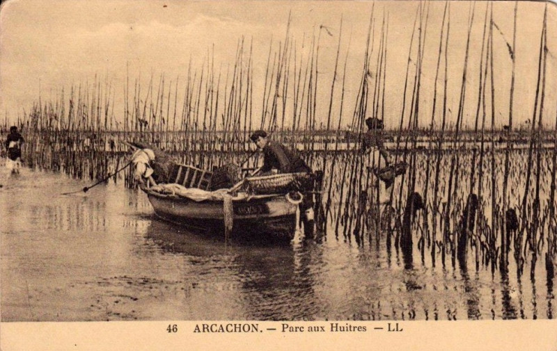 Carte postale ancienne Arcachon - parc aux huitres 6a