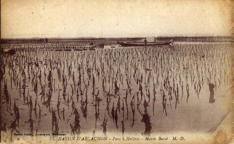 Carte postale ancienne Arcachon - parc aux huitres 7