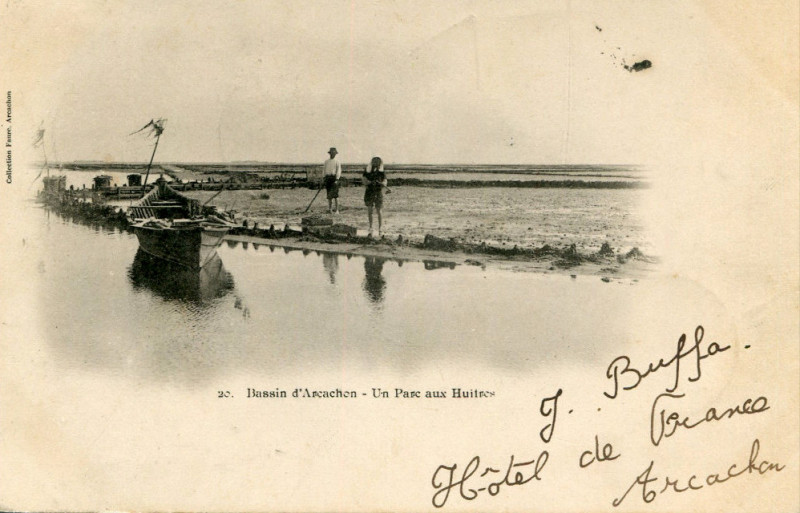 Carte postale ancienne Arcachon - parc aux huitres 9