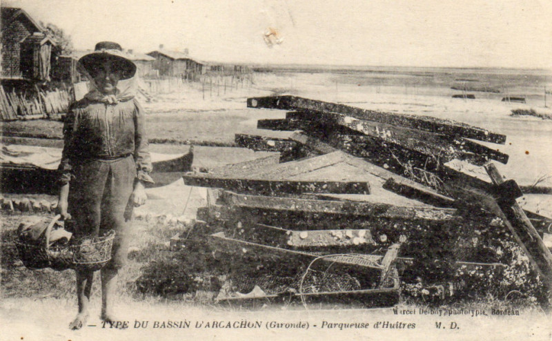 Carte postale ancienne Arcachon - parqueuse 25