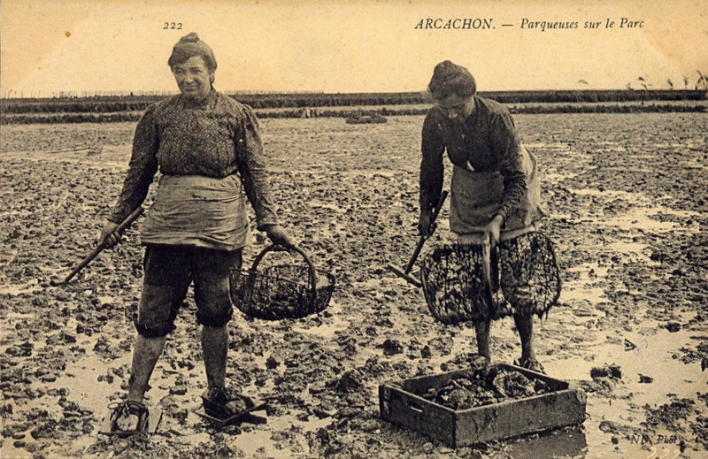 Carte postale ancienne Arcachon - parqueuses 2