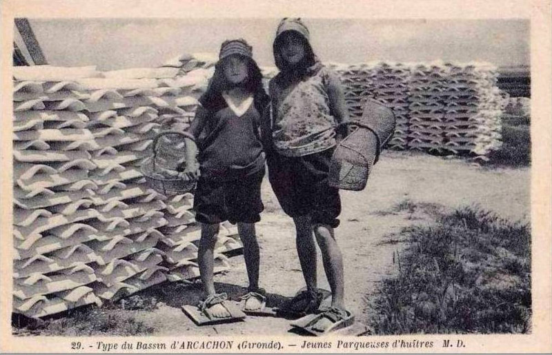 Carte postale ancienne Arcachon - parqueuses 4
