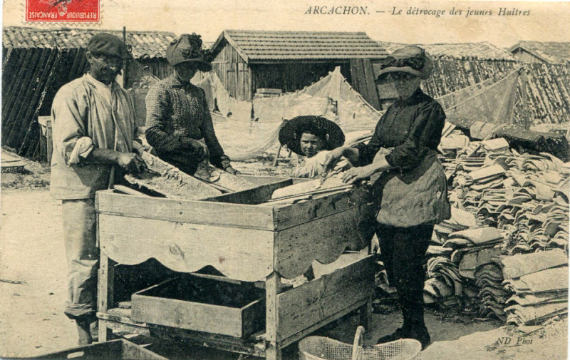 Carte postale ancienne Arcachon - travail de détroquage 4