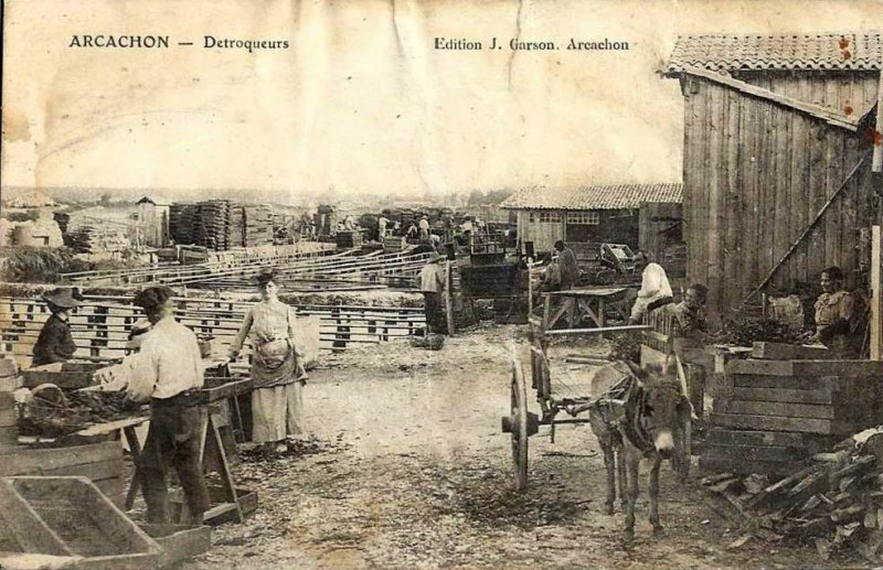 Carte postale ancienne Arcachon - travail de détroquage 5