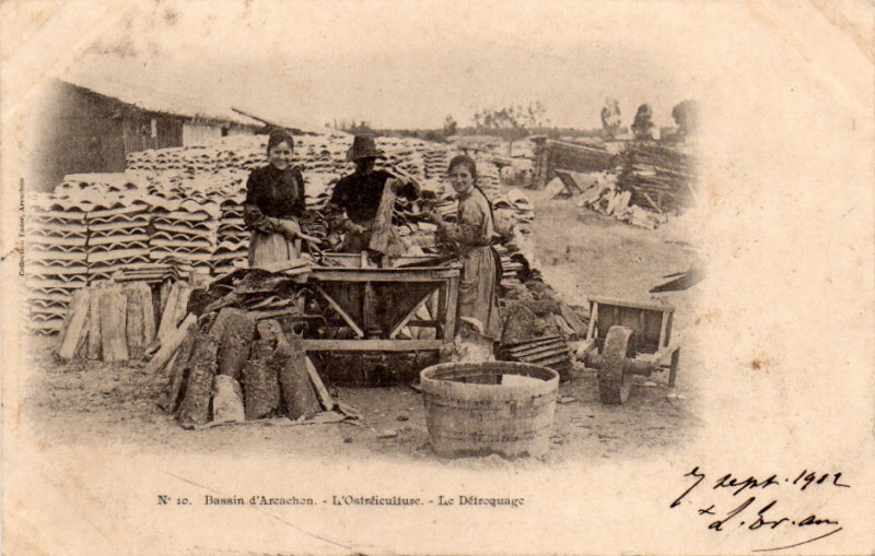 Carte postale ancienne Arcachon - travail de détroquage 9