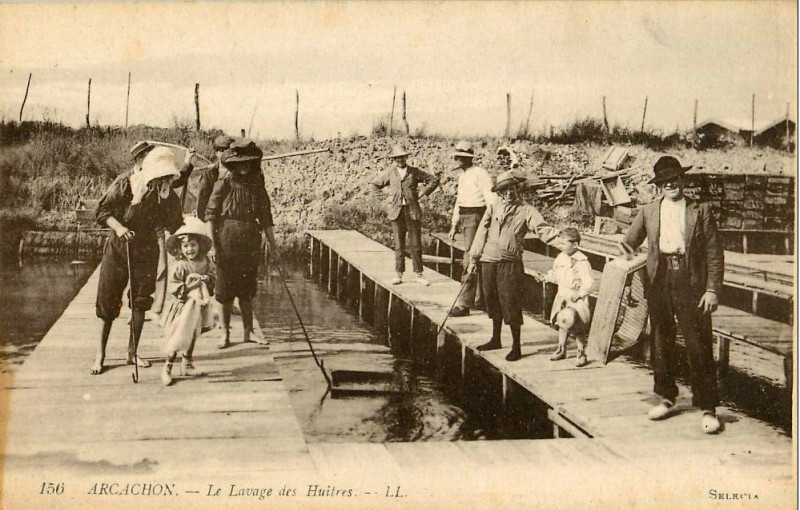 Carte postale ancienne Arcachon - travail de lavage 1