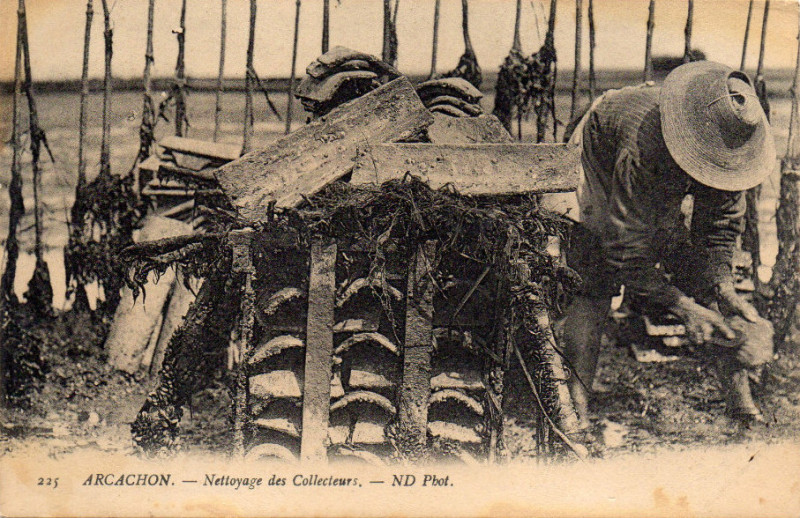 Carte postale ancienne Arcachon - travail de nettoyage 8