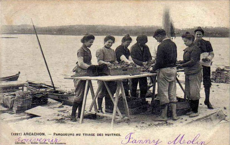 Carte postale ancienne Arcachon - travail de triage 1