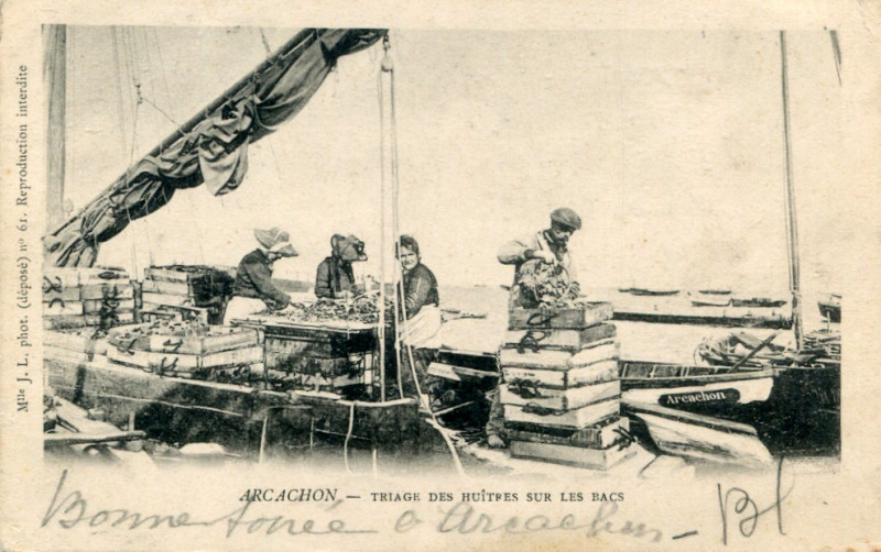 Carte postale ancienne Arcachon - travail de triage 2