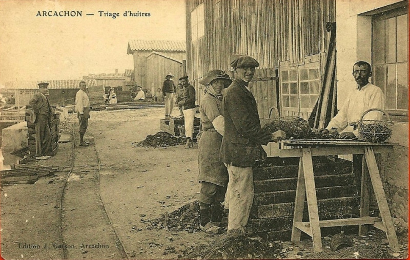 Carte postale ancienne Arcachon - travail de triage 3