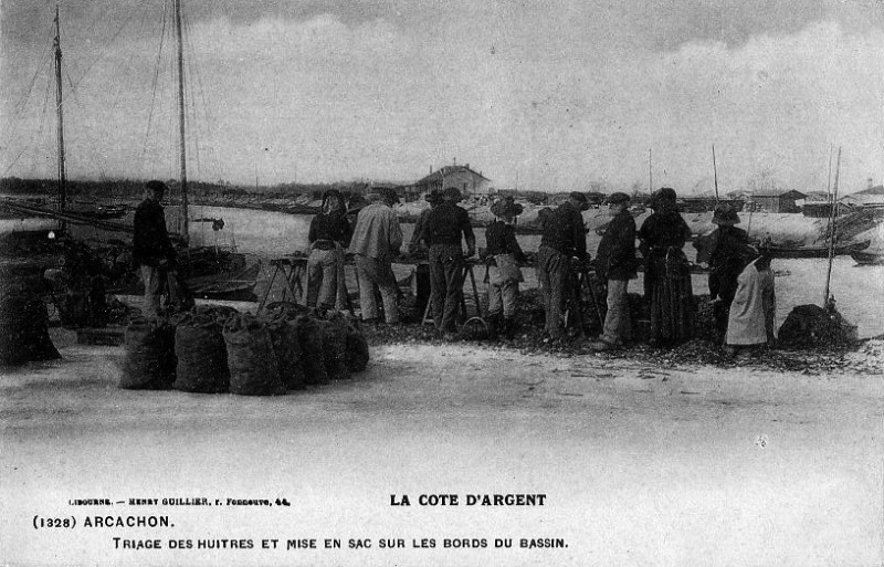 Carte postale ancienne Arcachon - travail de triage 6
