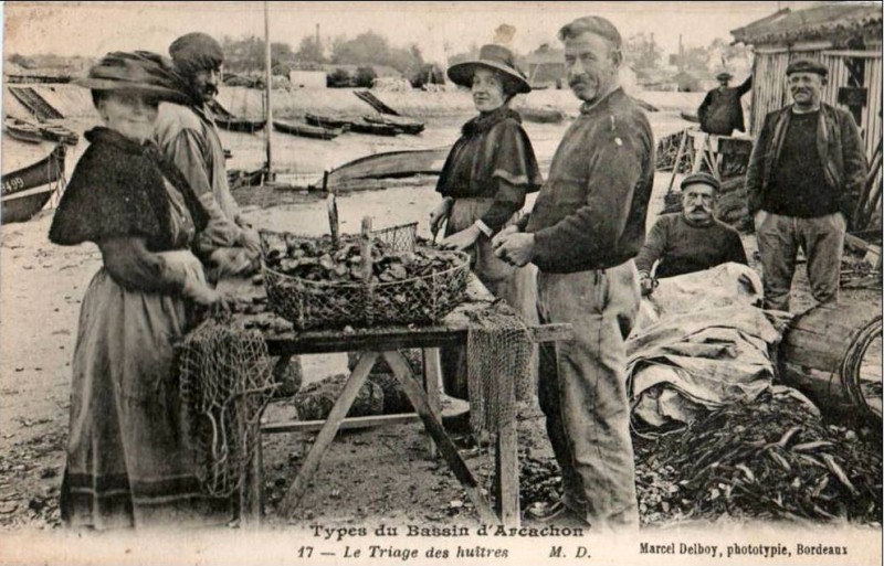 Carte postale ancienne Arcachon - travail de triage 7