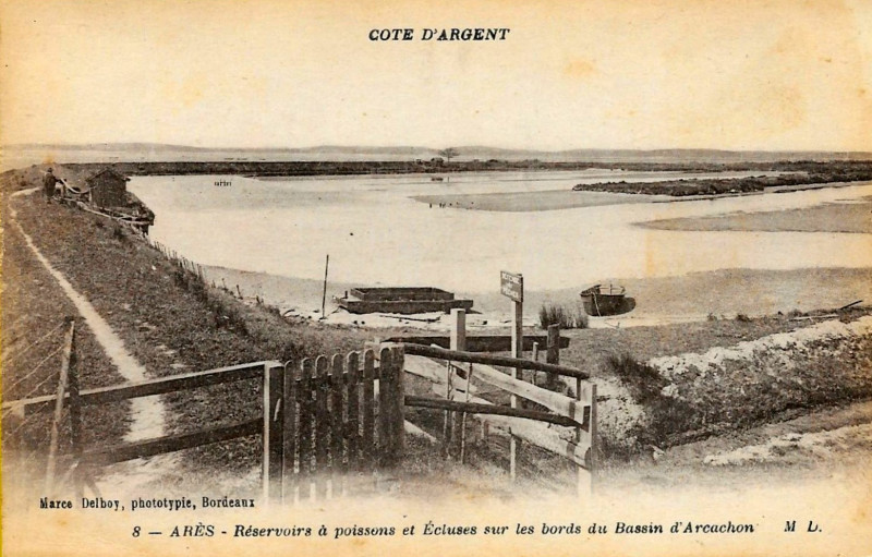Carte postale ancienne Arès - Bassin 11