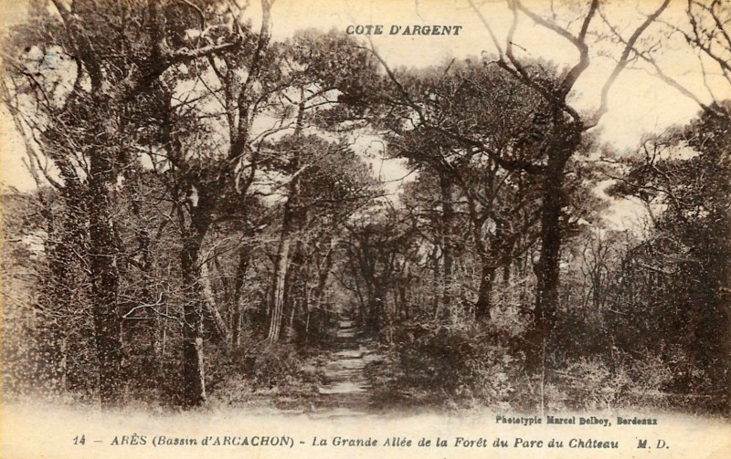 Carte postale ancienne Arès - château Javal 10
