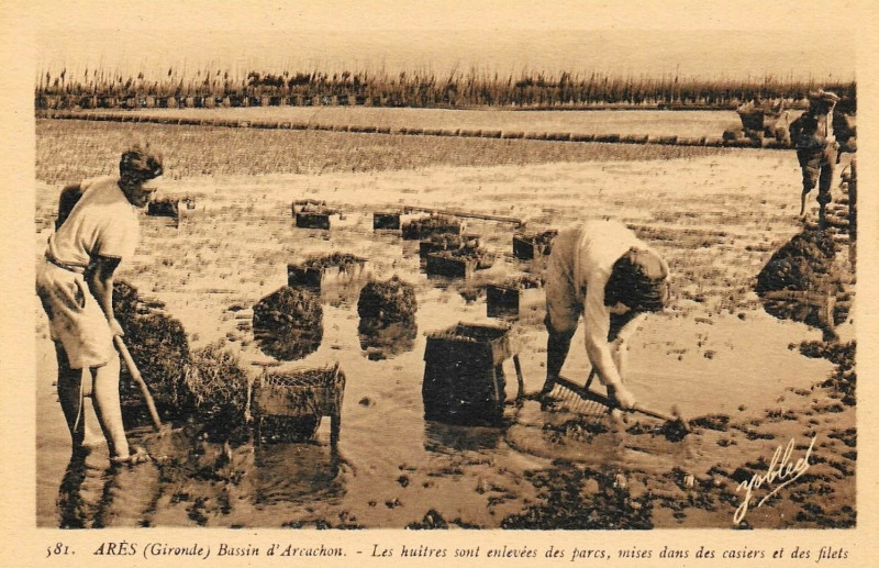 Carte postale ancienne Arès - Ostréiculteurs 11