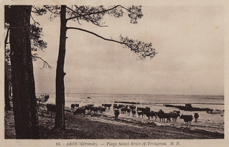 Carte postale ancienne Arès - plage 25