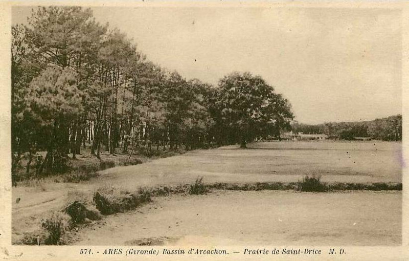 Carte postale ancienne Arès - prairie Saint-Brice