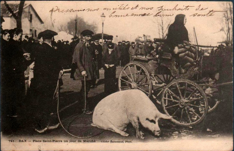 Carte postale ancienne Dax - Place Saint-Pierre un jour de Marché