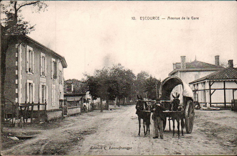 Carte postale ancienne Escource - Avenue de la Gare