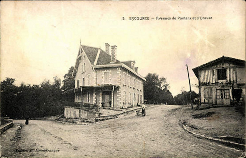 Carte postale ancienne Escource - avenues de Pontex et de l'Onesse 2